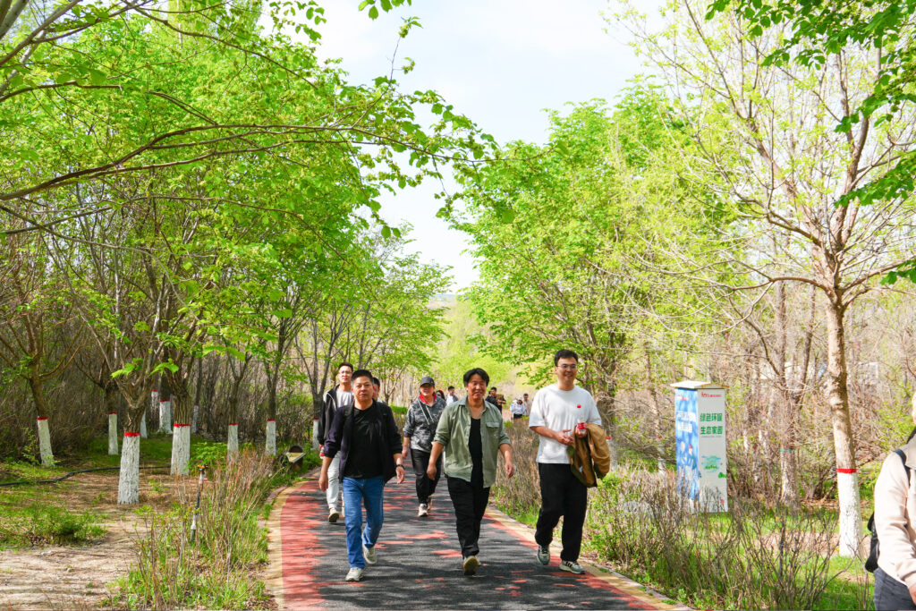 绿径同行·步筑新途 | 利来官网物流团队徒步团建之旅