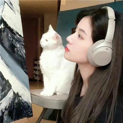 王国：北方的阿信